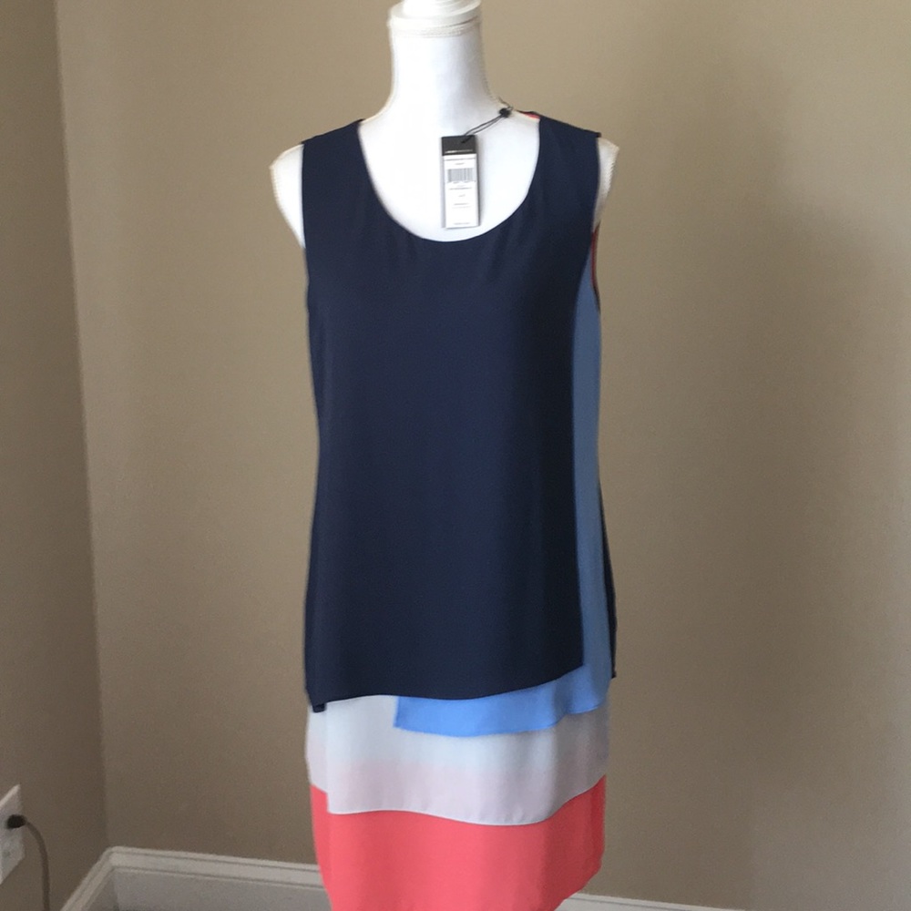 BCBG slip dress